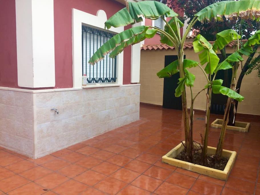 Villa Casa Bignonia à Salteras Extérieur photo