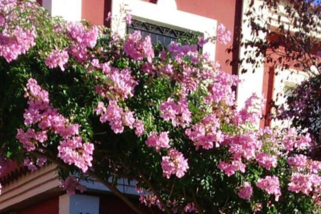 Villa Casa Bignonia à Salteras Extérieur photo